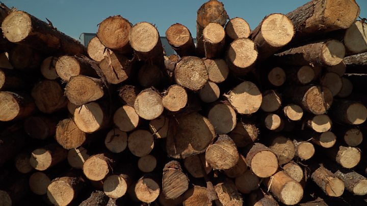 Тем более, что администрация Дональда Трампа уже ударила по канадской древесине хвойных пород с импортными тарифами более 20%